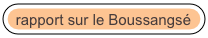 rapport sur le Boussangsé